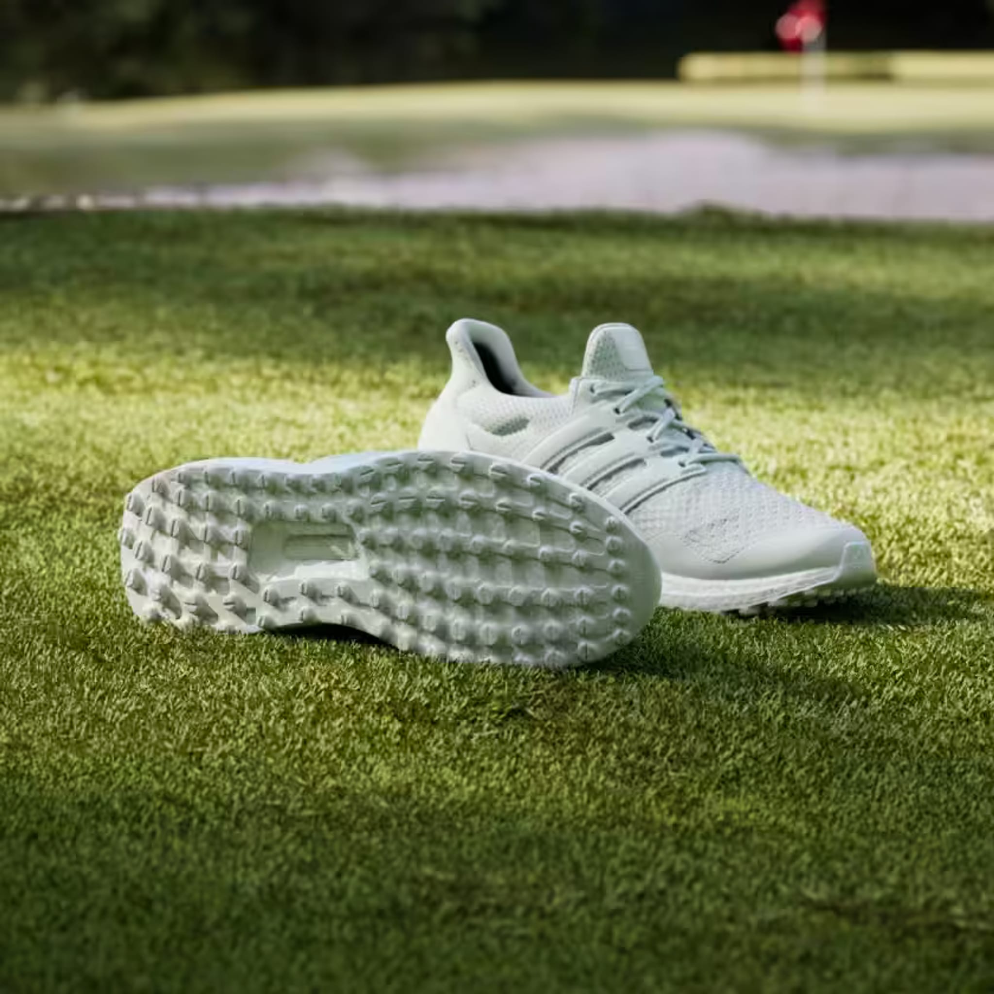 Adidas Ultraboost Golfschuh